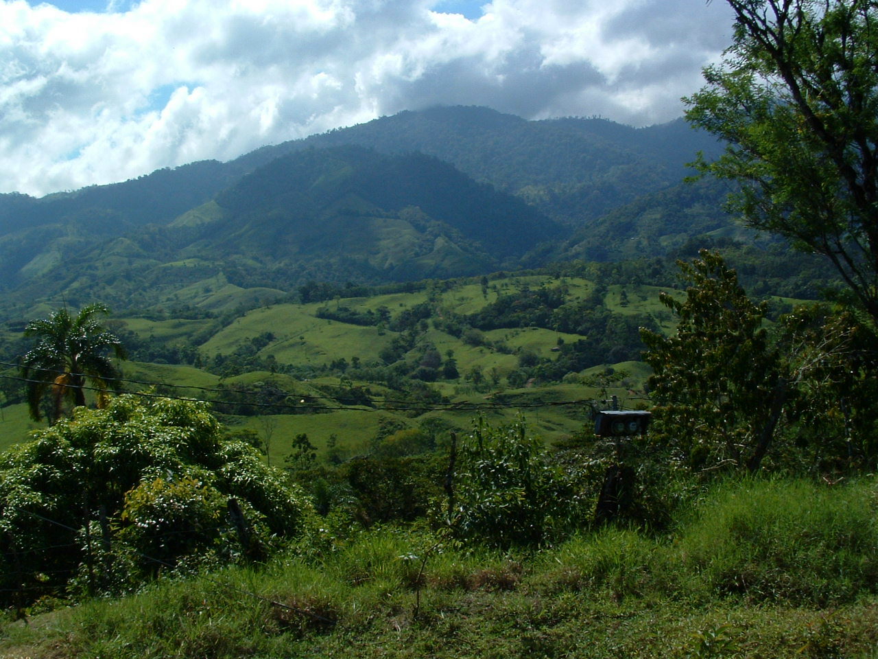 GAY MARRIAGE IN COSTA RICA gay marriage in costa rica: