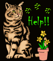 catnapped.gif - 12.24 K