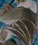 attacked.jpg - 8.56 K