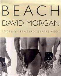 Beach_book_David_Morgan