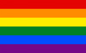 Gay_flag_svg
