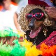 A dog shelter is receiving death threats because it had a drag queen read books to dogs. On September 24, the Hard Knocks Rescue & Training facility of Huntsville, Alabama […]