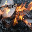 Viciously anti-LGBTQ+ pastor Greg Locke – who leads the Global Vision Bible Church – held a Halloween book-burning Tuesday night to get rid of what Locke described on Instagram as […]