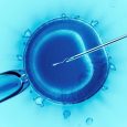 The decision by the Southern Baptist Convention (SBC) to oppose in-vitro fertilization (IVF) may seem like folly. After all, many evangelicals have turned to IVF to have children when they are otherwise […]